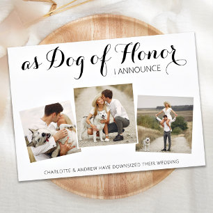 Save The Date Chien d'Honneur Changement de Plans Annonce de Mar