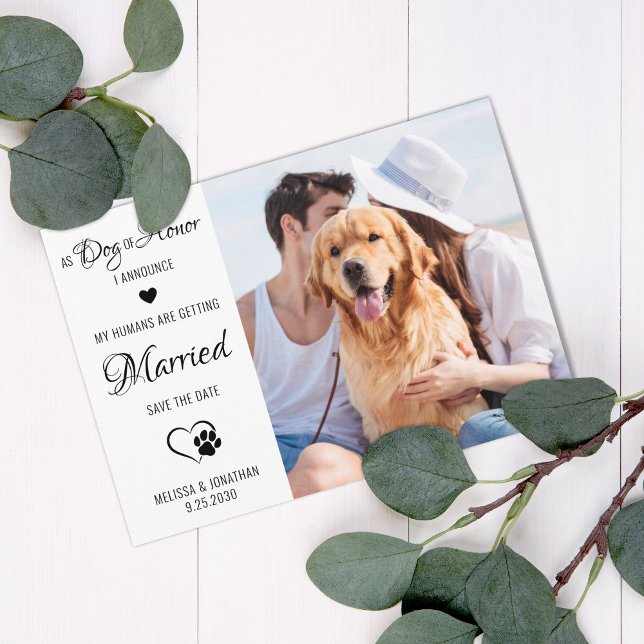 Save The Date Chien d'Honneur Photo de chien personnalisé Mariag (Créateur téléchargé)