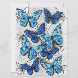 Save The Date Composition des White and Blue Butterflies