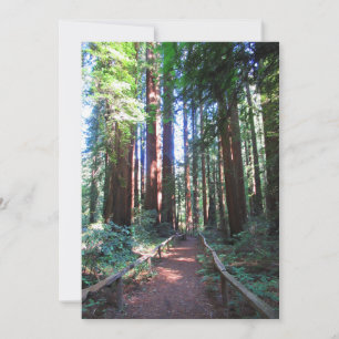 Save The Date Conception du sentier de Redwood en Californie