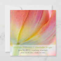 Couleurs du printemps • Annonce de sauvegarde de l
