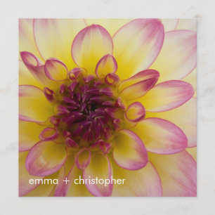 Save The Date Dahlia de Bourgogne, jaune et blanc