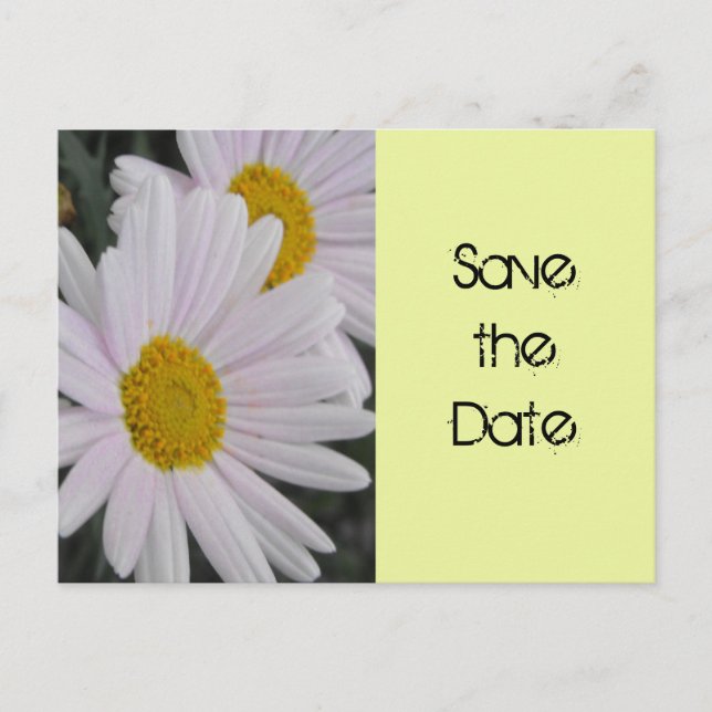 Save the Date, daisy Blume Ankündigungspostkarte (Vorderseite)