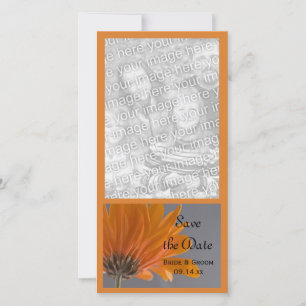 Save The Date Daisy orange sur mariage gris Enregistrer la date