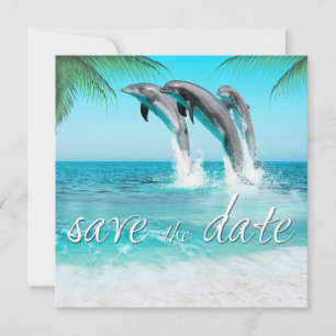 Save The Date DOLPHINS EN JEU OCÉAN TROPICAL Enregistrer la date