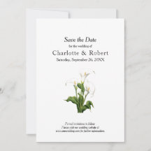 Elégant blanc Calla Lily