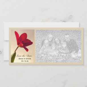 Save The Date Élégant mariage de la tulipe rouge Enregistrer la 