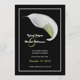 Save The Date Enregistrer l'invitation de la date de publication