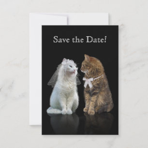 Save The Date Enregistrez la date de notre journée Purr-fect !