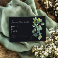 Eucalyptus branche verte feuilles foncé enregistre