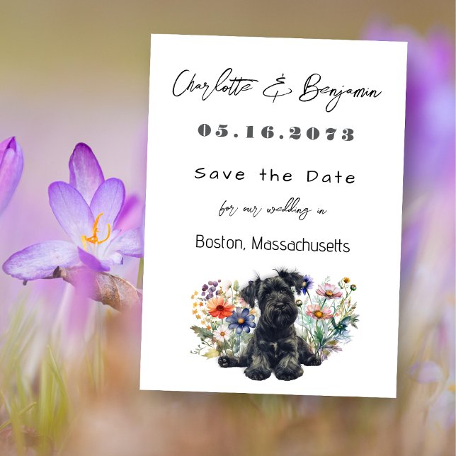 Save The Date Faire part de mariage de chien Schnauzer pour rése (Créateur téléchargé)