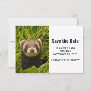 Save The Date Ferret Brown dans l'herbe