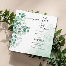 Feuilles de Eucalyptus Botanique Rustique Élégant