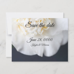 Save The Date Fleur de camélia blanc