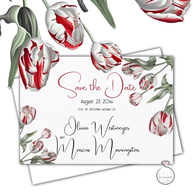 Save The Date | Floral Red & White Rembrandt Tulip Einladung (Send a Save the date  via  snail mail so your  friends and family can hold it in their hand)