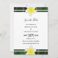Frangipani Jaune Plumeria Mariage Enregistrer La D