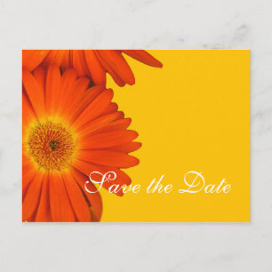 Save the Date, gerbera daisy Blume Ankündigungspostkarte