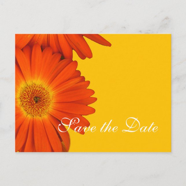Save the Date, gerbera daisy Blume Ankündigungspostkarte (Vorderseite)