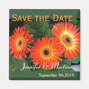 Save the Date, gerbera daisy Blume Magnet
