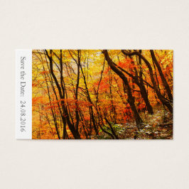 Save the Date Herbst/Hochzeit im Herbst 100 Karten