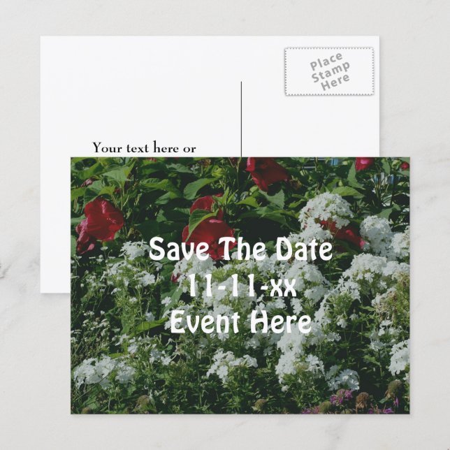 Save The Date Hibiscus Phlox Flower Garden Ankündigungspostkarte (Vorne/Hinten)