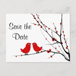Save the Date Hochzeit Liebe Vögel Foto Post Card Ankündigungspostkarte