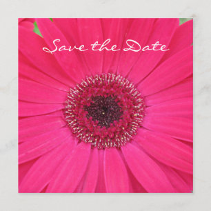 Save The Date Hot rose Gerbera Daisy Enregistrer la date Invitat