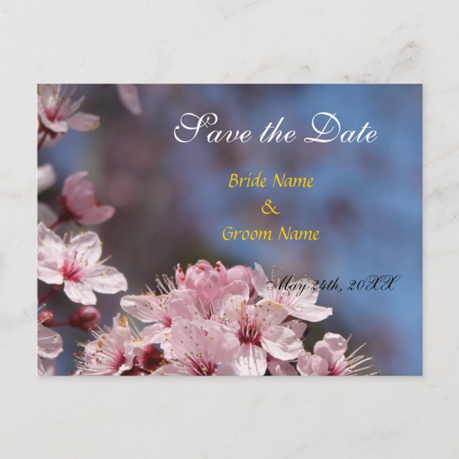Save the Date, hübsche Frühlingskirsche Blume Ankündigungspostkarte (Vorderseite)