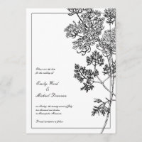 Illustration botanique en noir blanc Enregistrer l