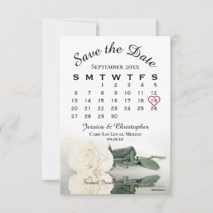 Save The Date Ivory White Rose Élégant calendrier de mariage