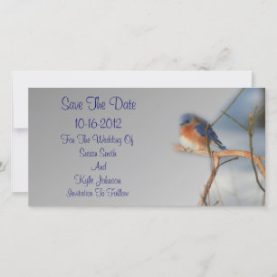 Save The Date Joli Mariage Bluebird Enregistrer La Date