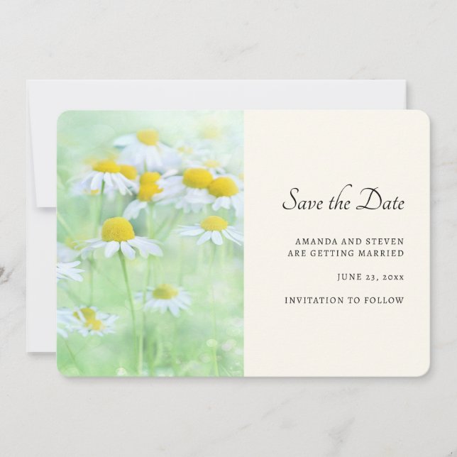 Save The Date Jolies marguerites dans une photo de terrain (Devant)