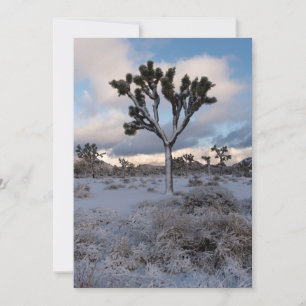 Save The Date Joshua Tree Snowy Matin #2