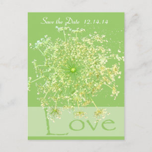 Save the Date Königin Anne's Lace Ankündigungspostkarte