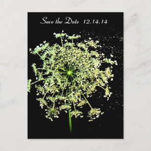 Save the Date Königin Anne's Lace Ankündigungspostkarte
