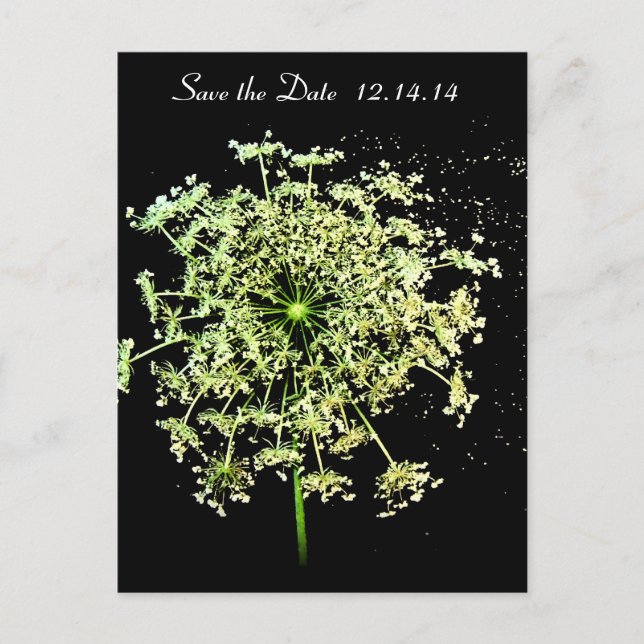 Save the Date Königin Anne's Lace Ankündigungspostkarte (Vorderseite)