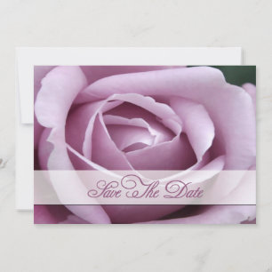 Save The Date Lavendar Rose Enregistrer la date