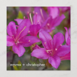 Save The Date Magenta Azalea DSC1724