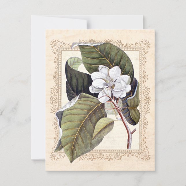 Save The Date Magnolia blanc Mariage sudiste Sauvegarder la date (Devant)