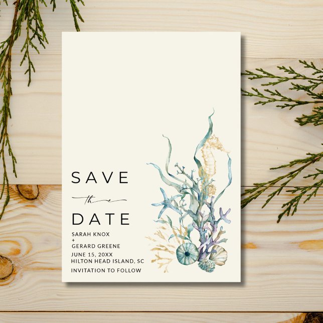 Save The Date Mariage côtier Seashell  (Seaside Seashell Coastal Wedding Save The Date)