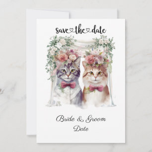 Save The Date Mariage de chat avec mariée et chambre