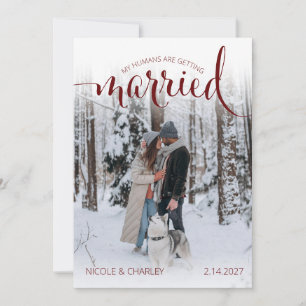 Save The Date Mariage de Humains Modernes Photo de Fiançailles d