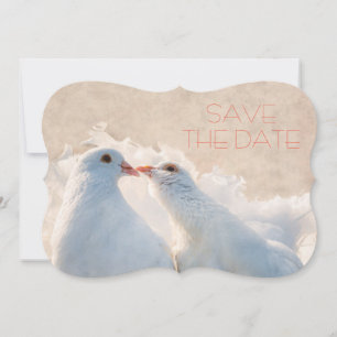 Save The Date Mariage Sauvez la date Embrasser les colombes