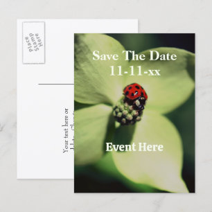 Save The Date Marienkäfer Auf Blüte  Ankündigungspostkarte