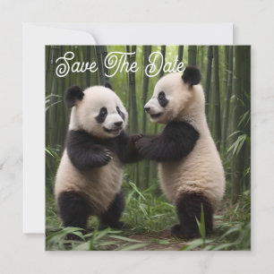 Save The Date Merveilleuse : Les bébés pandas jouent dans la for