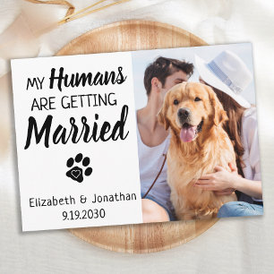 Save The Date Mes humains deviennent Mariages de chiens mariés