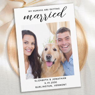 Save The Date Mes humains deviennent Mariages de chiens mariés