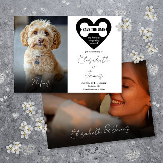Save The Date Mes humains se marient Chien 2 Photos Mariage