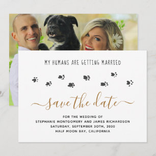 Save The Date Mes humains se marient Photo de mariage pour anima