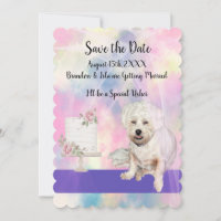 Save the Date mit dem Niedlichen Weißen Hund